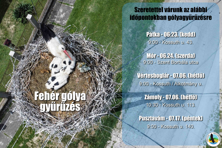 gyolyagyuruzes2026net