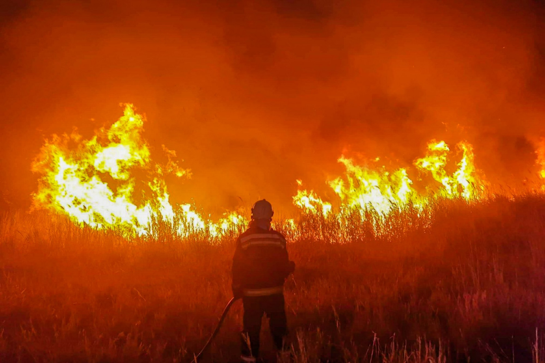 Hétszázötven hektáron, foltokban kapott lángra az erdő aljnövényzete és nádas-bozótos területek Tiszafüred-Kócsújfalu határában, a Hortobágyi Nemzeti Park területén, július 20-án – Fotó: BM Országos Katasztrófavédelmi Főigazgatóság