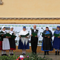 20 éves a Vértesi Natúrpark