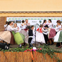 barkoca_vertesinaturpark